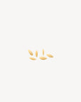Orzo